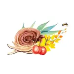 MYCOMEDICA Medoreishi 400 g