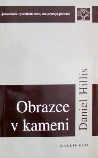 Obrazce v kameni (poškozená) - Daniel W. Hillis