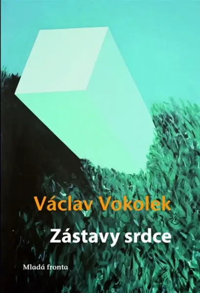 Zástavy srdce (poškozená) - Václav Vokolek