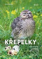 Křepelky (100 otázek o plemenech, chovu, marketingu) - kniha z kategorie Chov zvířat