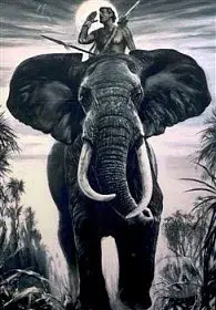 Tarzan as art (Portfolio) - Milan Fibiger