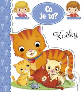 Kočky