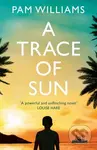 A Trace of Sun - Pam Williams - kniha z kategorie Společenská beletrie