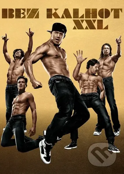 Bez kalhot XXL - Gregory Jacobs - film z kategorie Komedie