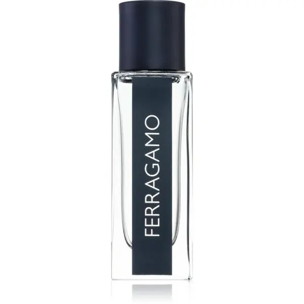 Ferragamo Ferragamo toaletní voda pro muže 30 ml