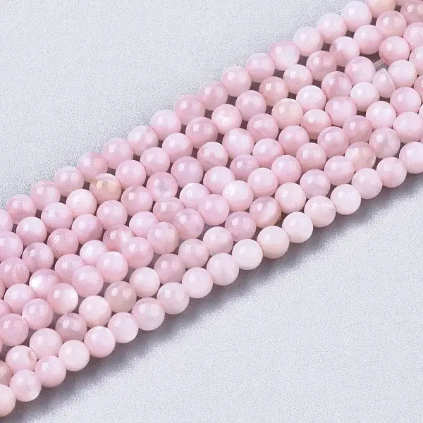 Natural Freshwater Shell Beads Strands