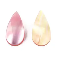Natural Turbo Cornulus/Top Shells Cabochons