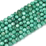 Natural Freshwater Shell Beads Strands