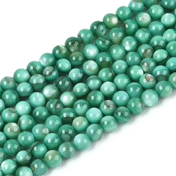 Natural Freshwater Shell Beads Strands