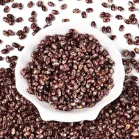 Spray Painted Glass Seed Beads