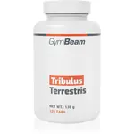 GymBeam Tribulus Terrestris podpora potence a vitality 174 g