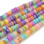 Dyed Natural Freshwater Shell Beads Strands