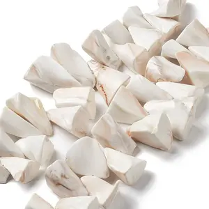 Natural Shell Beads Strands