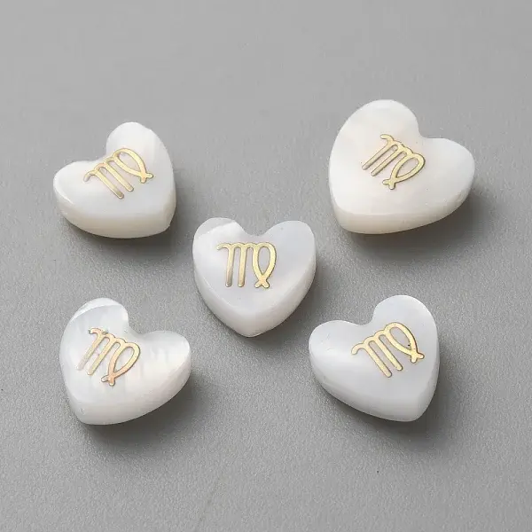5Pcs Natural White Shell Beads