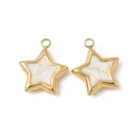 304 Stainless Steel Enamel Charms