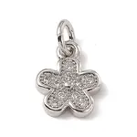 Brass Micro Pave Cubic Zirconia Charms