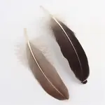 Goose Feather Costume Accessories