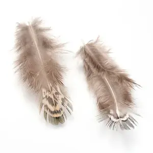 Chicken Feather Costume Accessories