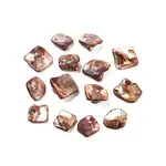 Natural Freshwater Shell Beads