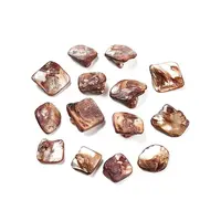 Natural Freshwater Shell Beads