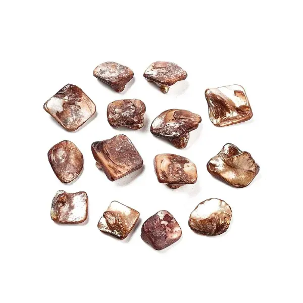 Natural Freshwater Shell Beads