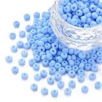 6/0 Glass Seed Beads