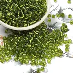 6/0 Glass Seed Beads