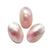 Natural Shell Cabochons