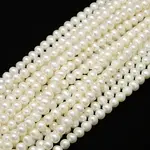 Natural Cultured Freshwater Pearl Beads Strands