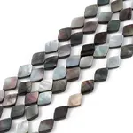 Natural Black Lip Shell Beads Strands