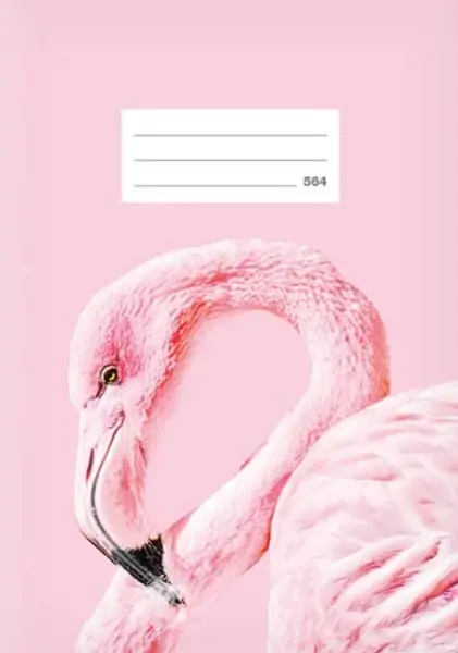 Školní sešit LUX A5 564, Plameňák