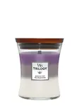 WoodWick Vonná svíčka střední Trilogy Amethyst Sky 275 g