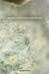 Prosím, uvědomte o tom slunce - Žaneta Št, Berenika Anežka Suchánková
