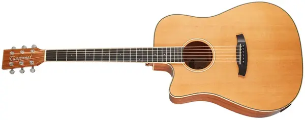 Tanglewood TW5CE NA LH