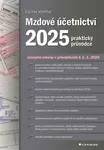 Mzdové účetnictví 2025 - Václav Vybíhal