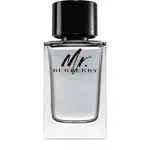 Burberry Mr. Burberry toaletná voda pre mužov 150 ml