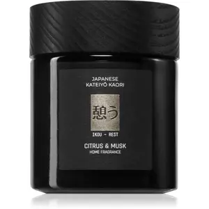 Vila Hermanos Apothecary Japanese Rest vonná sviečka 150 g