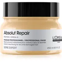 L’Oréal Professionnel Serie Expert Absolut Repair hlboko regeneračná maska pre suché a poškodené vlasy 250 ml