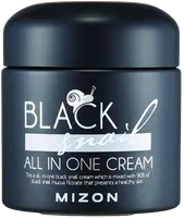 MIZON Krém proti vráskam a regeneračný krém Black Snail All In One 75 ml