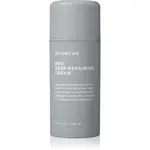AYUNCHE Pro Deep Repairing Cream hĺbkovo regeneračný krém pre poškodené vlasy 100 ml