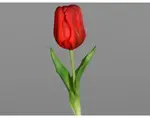 Umelá kvetina Tulipán 20 cm, červená%