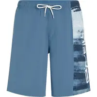 O'Neill RETRO 19 Pánske plavecké šortky, modrá, veľkosť