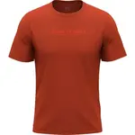 Hannah PARNELL II Pánske tričko, hnedá, veľkosť XXXL