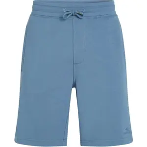 O'Neill SMALL LOGO Pánske šortky, modrá, veľkosť