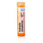 Hydrastis canadensis 15CH granule 1x4g