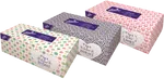 LINTEO Papírové kapesníky 2-vrstvé Box 200 ks