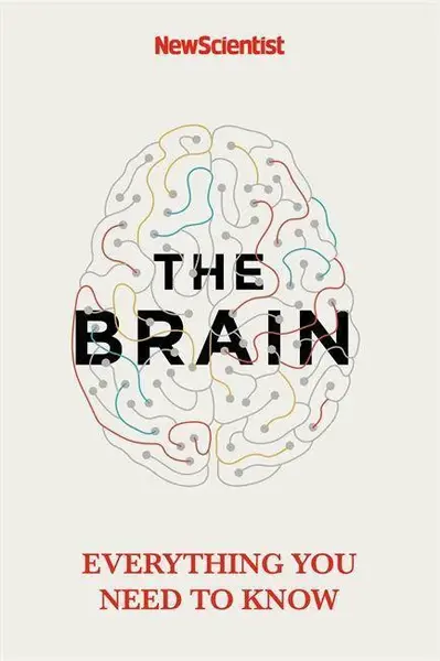 The Brain