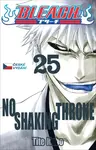 Bleach 25