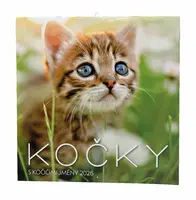 Kočky 2026 - nástěnný kalendář