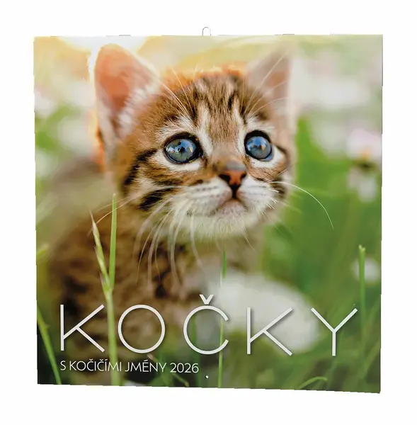 Kočky 2026 - nástěnný kalendář
